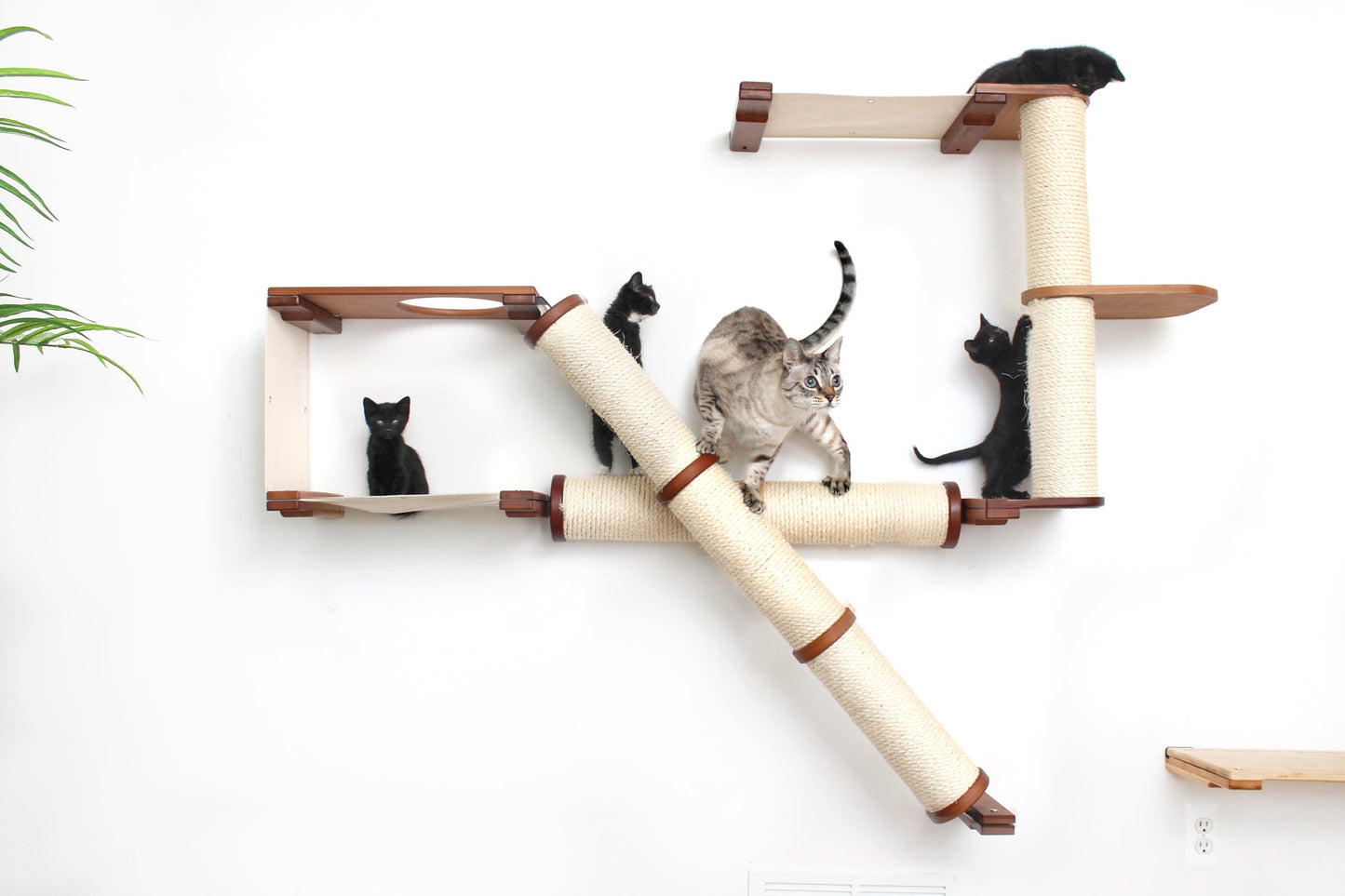 The Crossroads - Cat Wall Scratcher - Tree with Ramp English Chestnut Bamboo Natural Canvas 16" Cat Condo Catastrophic Creations