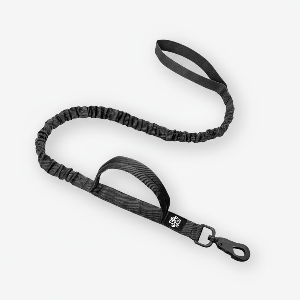 Rover Tactical Leash Leash The Dog Face