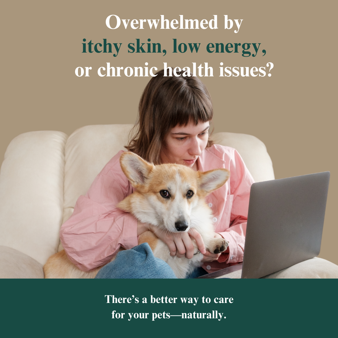 Whole Pet Wellness Academy: The Pet Parent Holistic Health Toolkit DIY Holistic Health Course Dr. Ruth Roberts