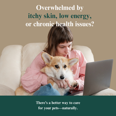 Whole Pet Wellness Academy: The Pet Parent Holistic Health Toolkit DIY Holistic Health Course Dr. Ruth Roberts