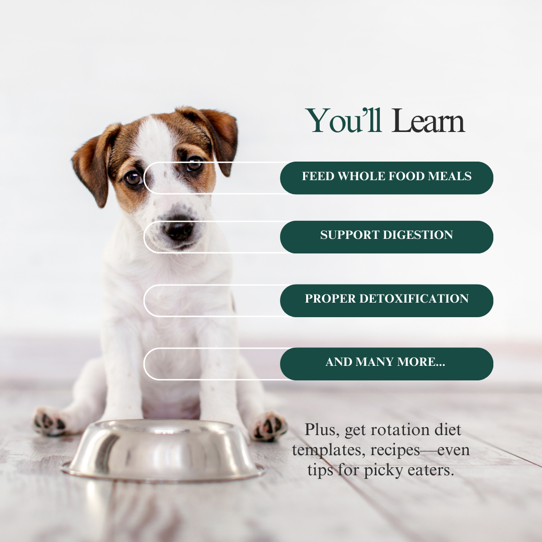 Whole Pet Wellness Academy: The Pet Parent Holistic Health Toolkit DIY Holistic Health Course Dr. Ruth Roberts