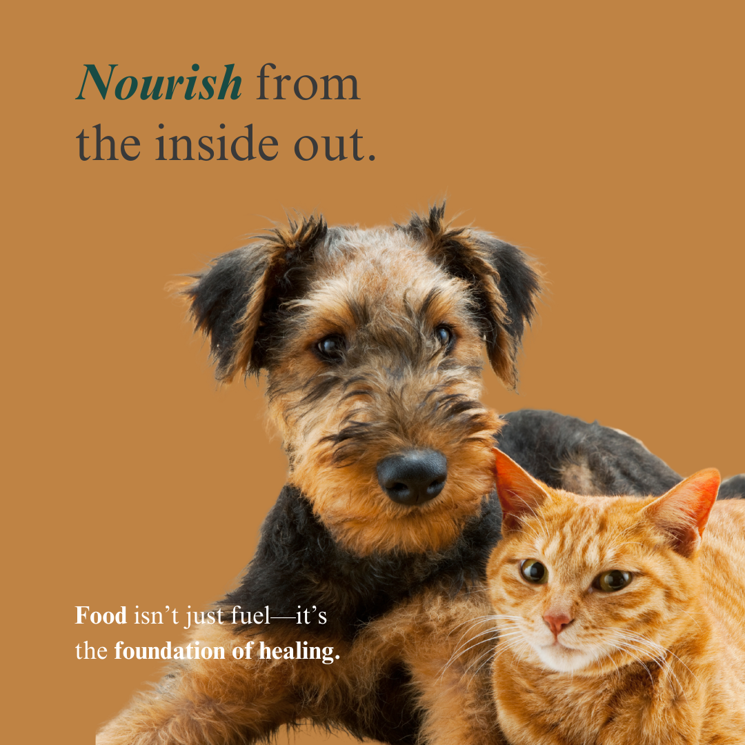 Whole Pet Wellness Academy: The Pet Parent Holistic Health Toolkit DIY Holistic Health Course Dr. Ruth Roberts