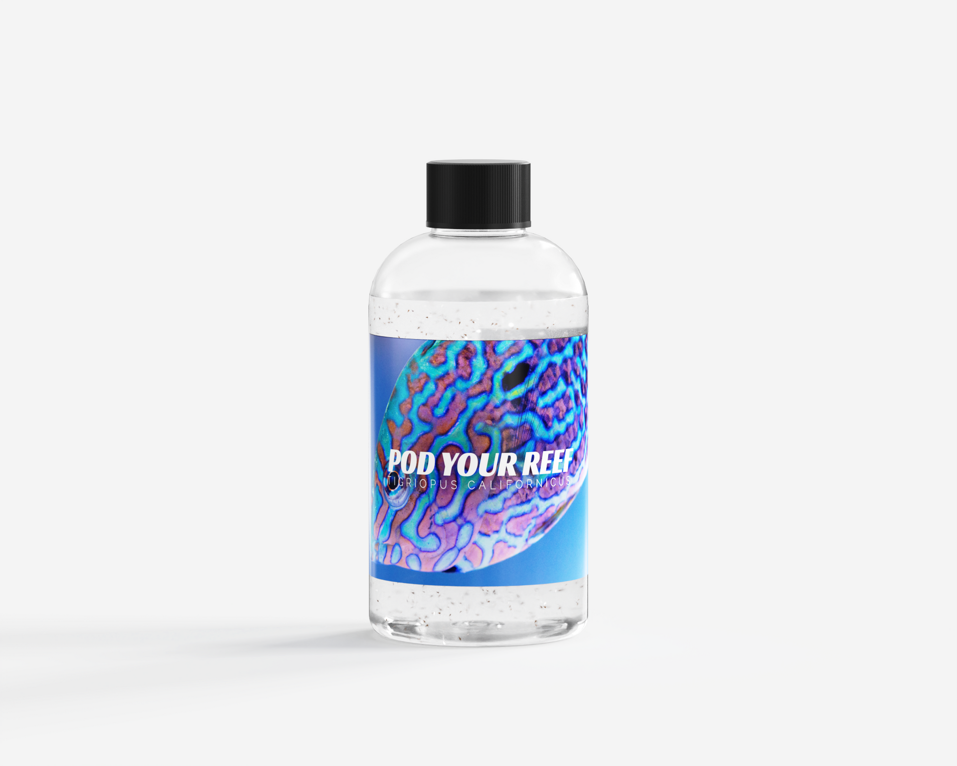 Tigriopus Californicus Reef Copepods Zooplankton Pod Your Reef