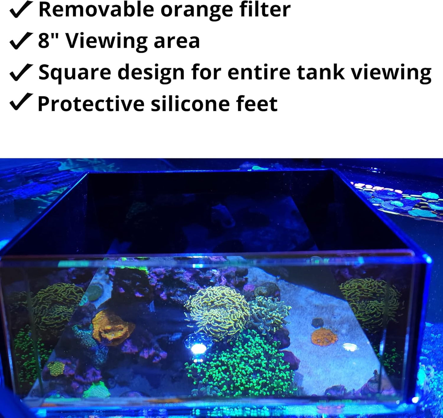 Top Down Viewer Zoa - 8" panel Show Flipper Aquarium Products