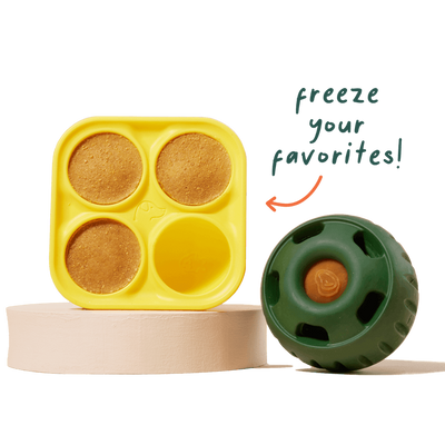 Pupsicle Treat Tray Bowls and Dishes Woof Pet