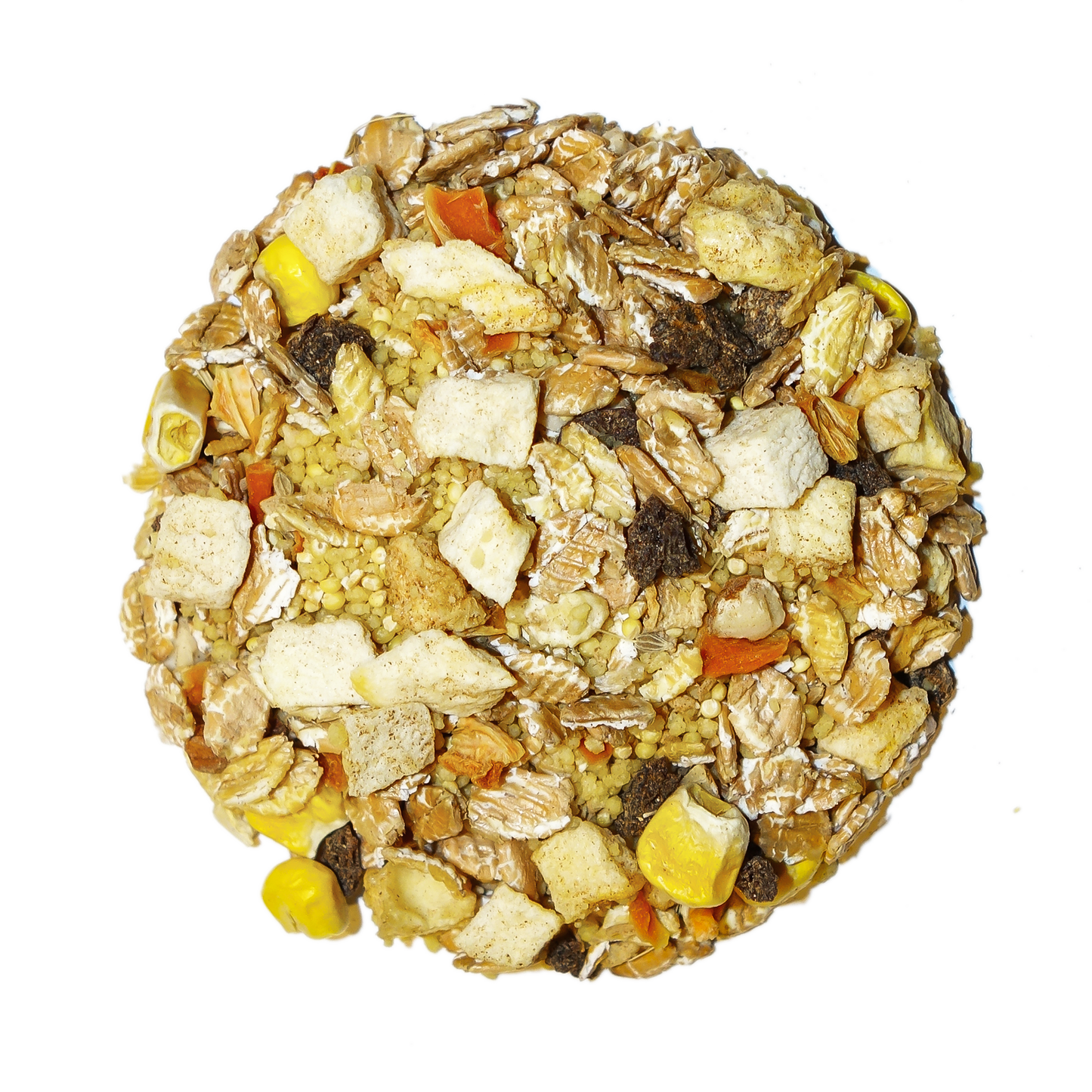 Tropical - Feast on the Fly Parrot Food Bird Street Bistro