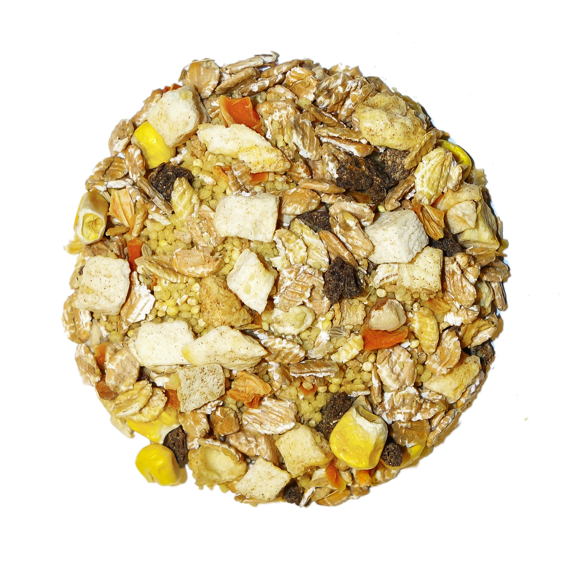 Tropical - Feast on the Fly Parrot Food Bird Street Bistro