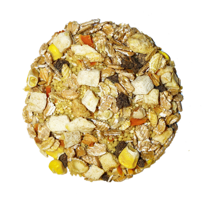 Tropical - Feast on the Fly Parrot Food Bird Street Bistro