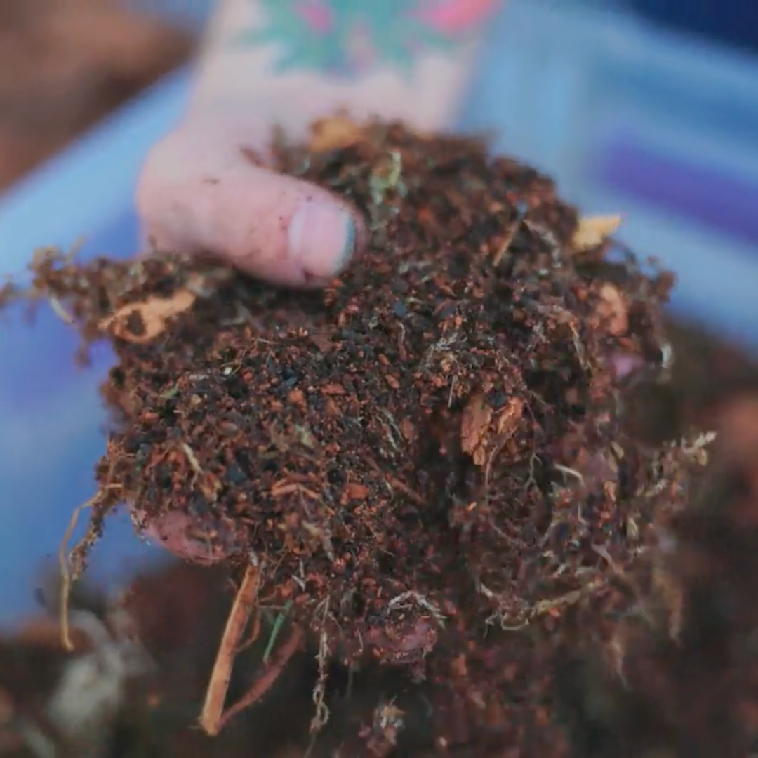 TropicalBase Terrarium Mix; Bioactive Ready to Use Substrate ReptiChip LLC