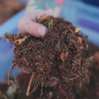 TropicalBase Terrarium Mix; Bioactive Ready to Use Substrate ReptiChip LLC