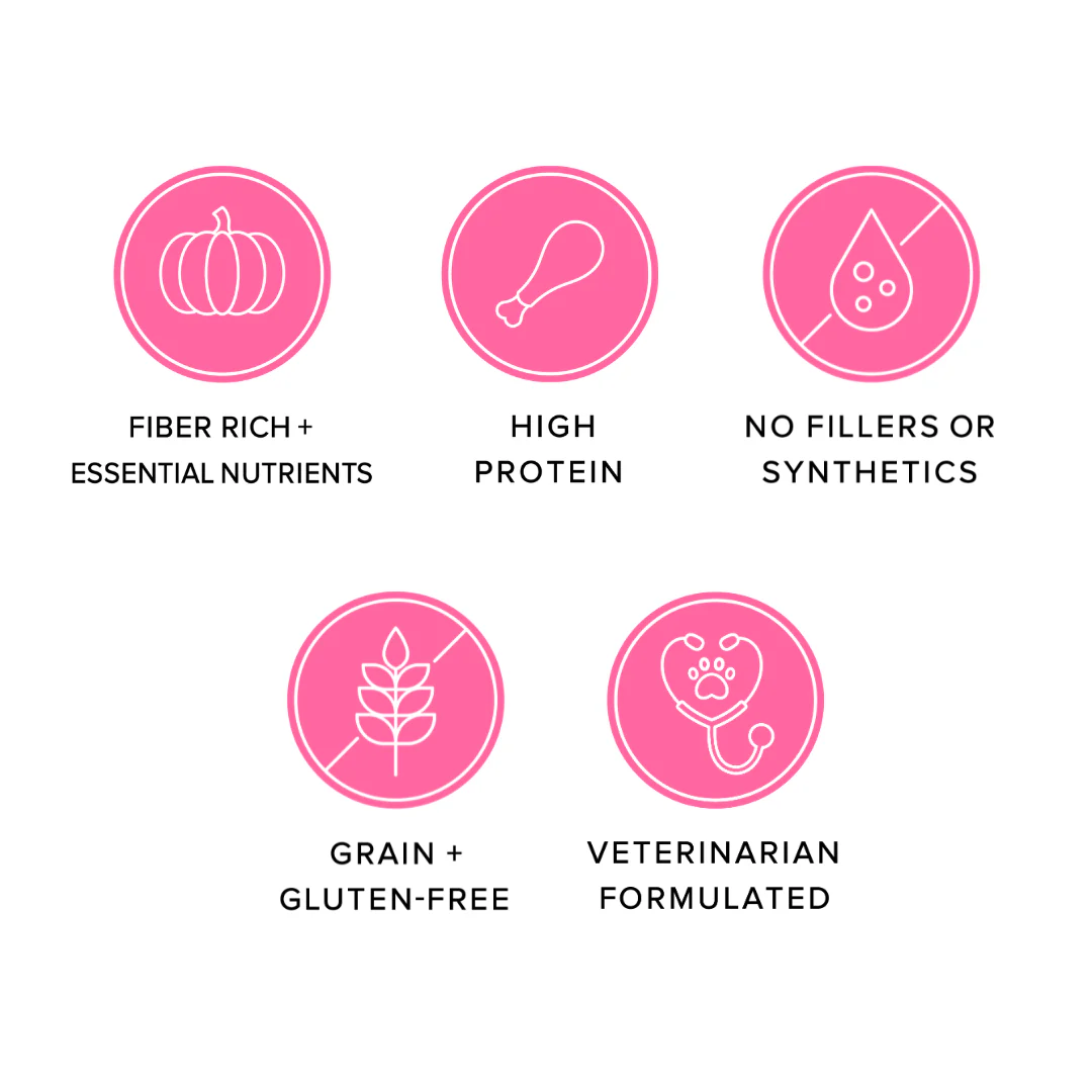 Ava's Pet Palace Freeze Dried Dog Treats - Turkey Poppers (3oz) Dog Treats American Pet Supplies