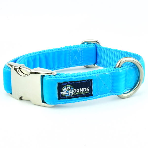 Turquoise Velvet Essential Dog Collar 1 inch wide 2 Hounds Design
