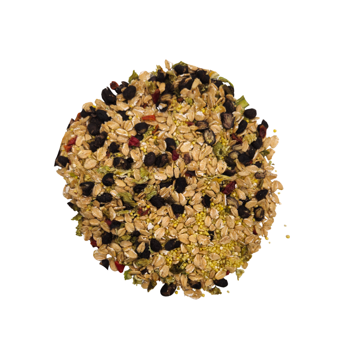 Cajun Bean - Feast on the Fly Parrot Food Bird Street Bistro