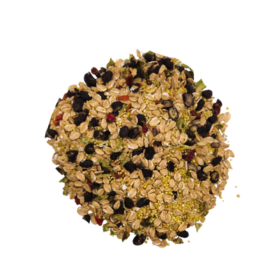 Cajun Bean - Feast on the Fly Parrot Food Bird Street Bistro