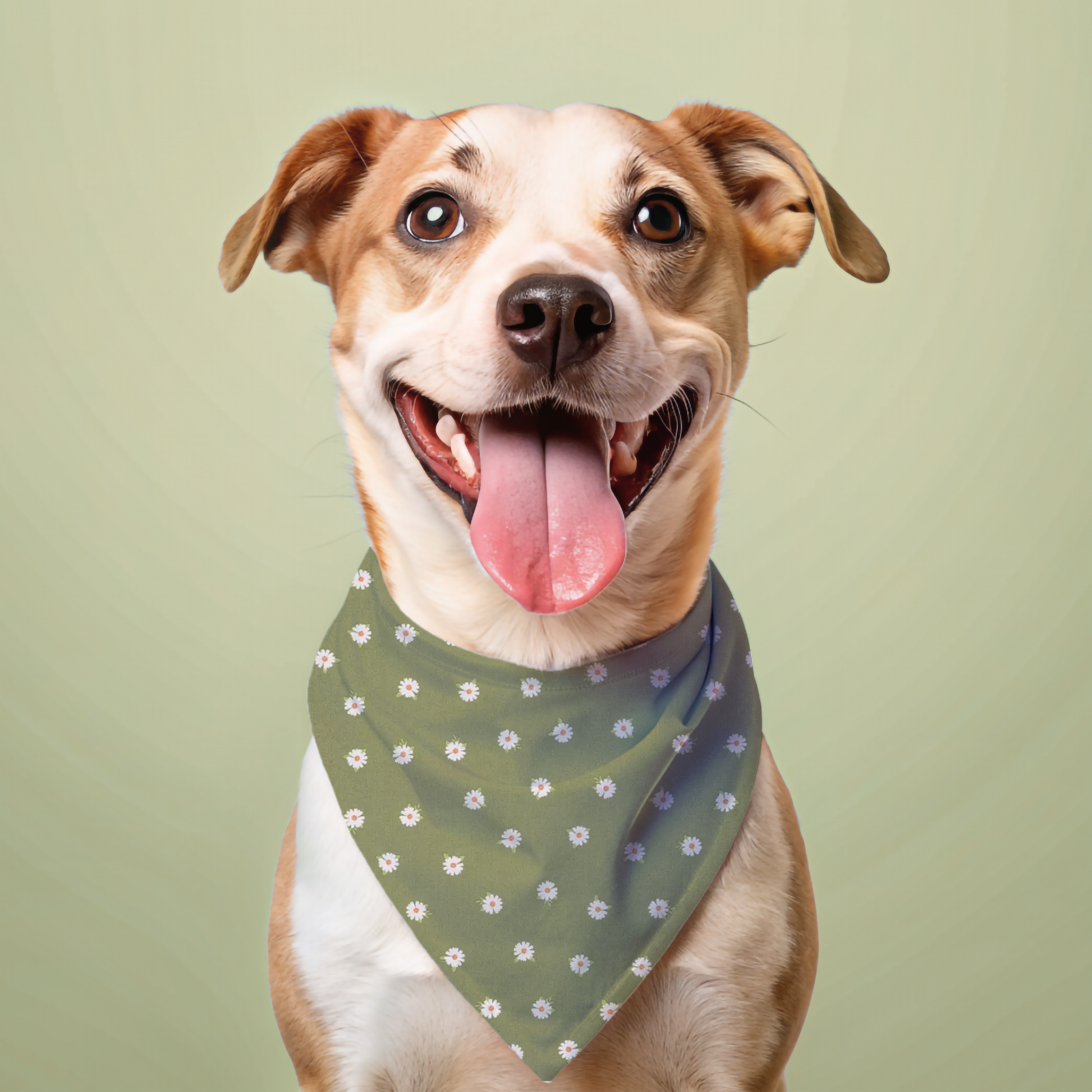 Daisy Dog Bandana Dog Bandana Happy Tails Outfitters