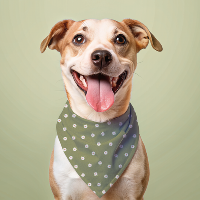 Daisy Dog Bandana Dog Bandana Happy Tails Outfitters
