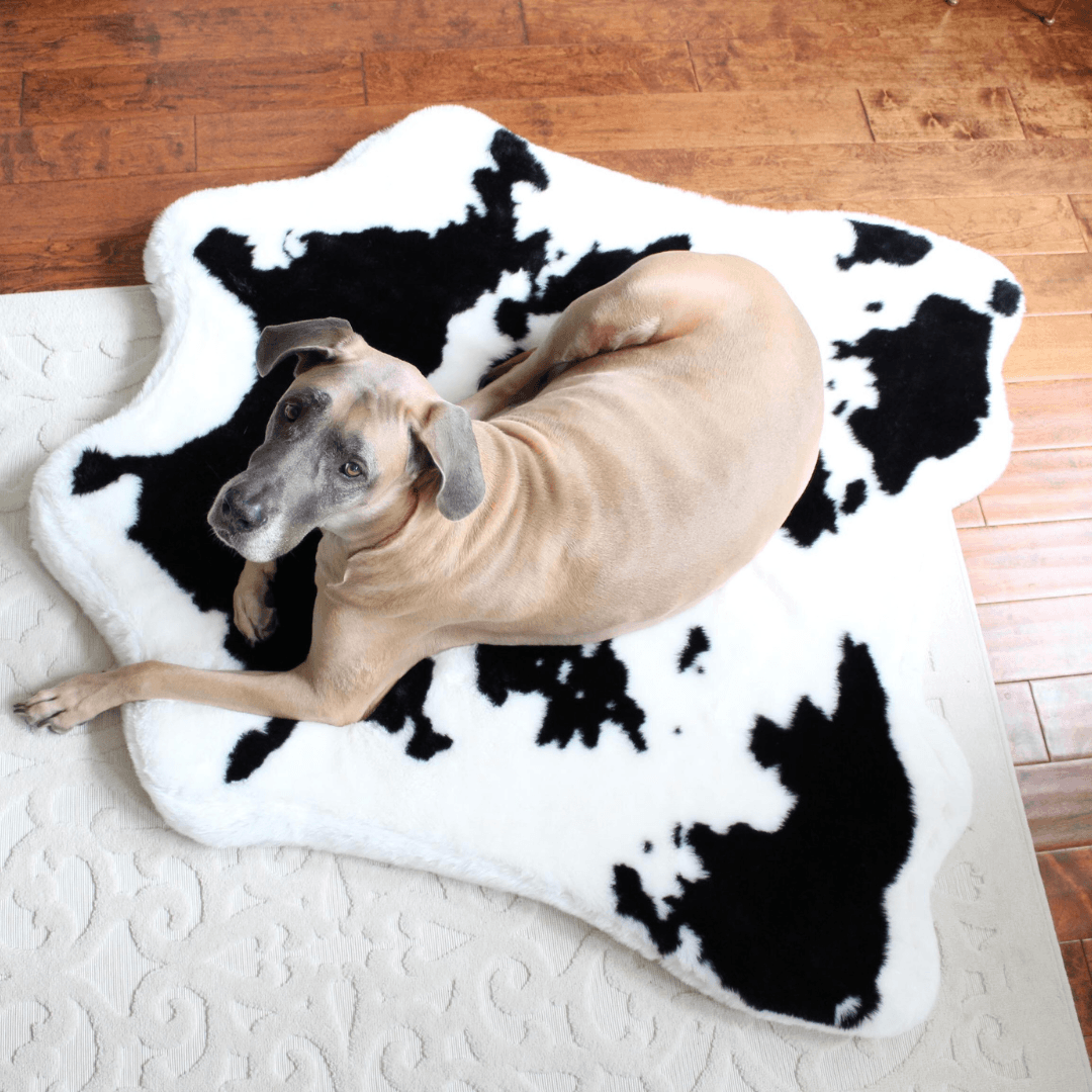 PupRug® Animal Print Memory Foam Dog Bed - Black Faux Cowhide Dog Beds Paw.com