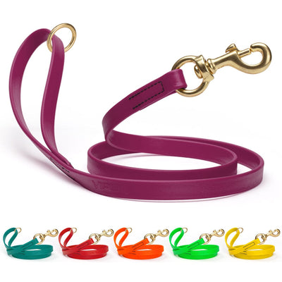 Viper Biothane Working Lead 6 ft Dog Leashes Dogline