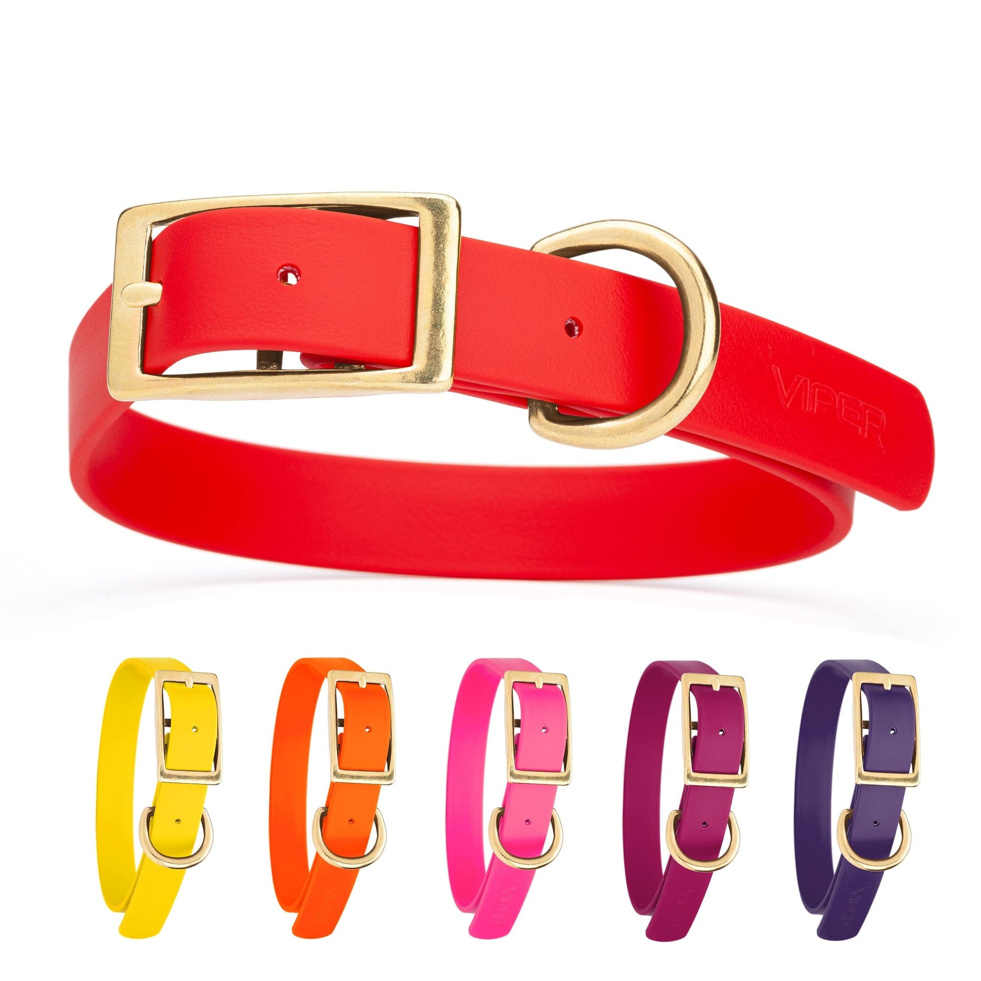 Viper Biothane Waterproof Dog Collar - Brass Hardware - Size L (18" - 22") Dog Collar Dogline