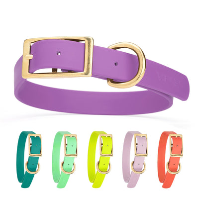 Viper Biothane Waterproof Dog Collar - Brass Hardware - Size XL (22" - 25") Dog Collar Dogline