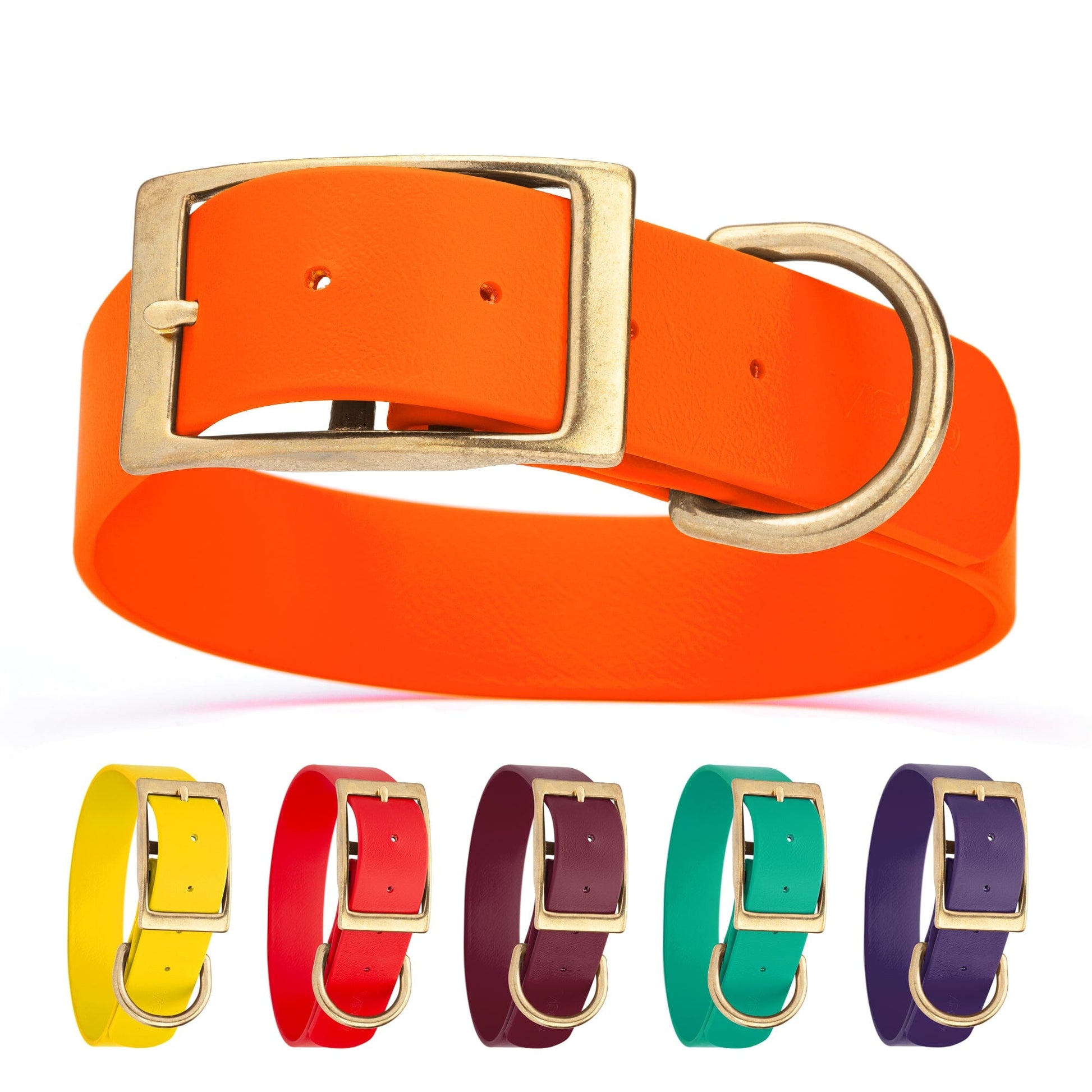 Viper Biothane Waterproof Dog Collar - Brass Hardware - 1.5in Wide - Size L (16" - 20") Dog Collar Dogline