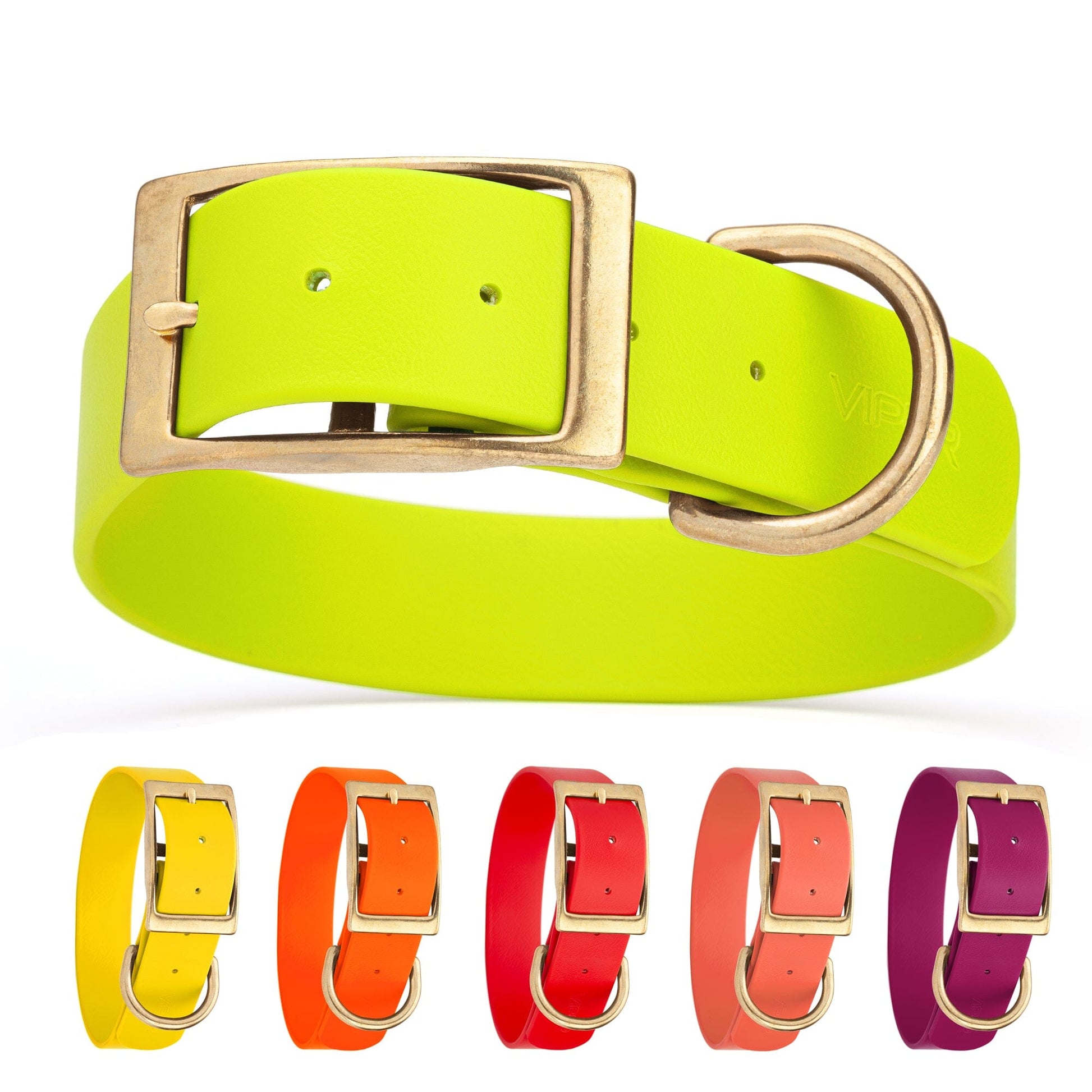 Viper Biothane Waterproof Dog Collar - Brass Hardware - 1.5in Wide - Size XL (20" - 24") Dog Collar Dogline