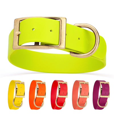 Viper Biothane Waterproof Dog Collar - Brass Hardware - 1.5in Wide - Size XL (20" - 24") Dog Collar Dogline