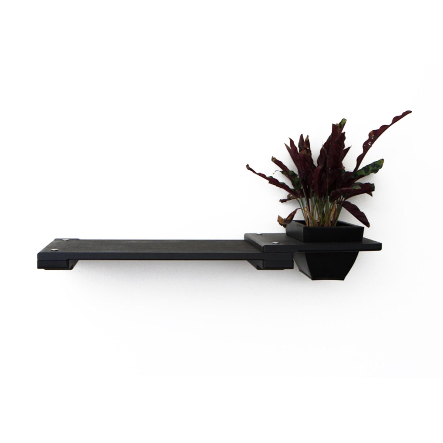 Cat Plant Stand for Wall Onyx Bamboo 18" Solid Shelf Cat shelves/bed Catastrophic Creations