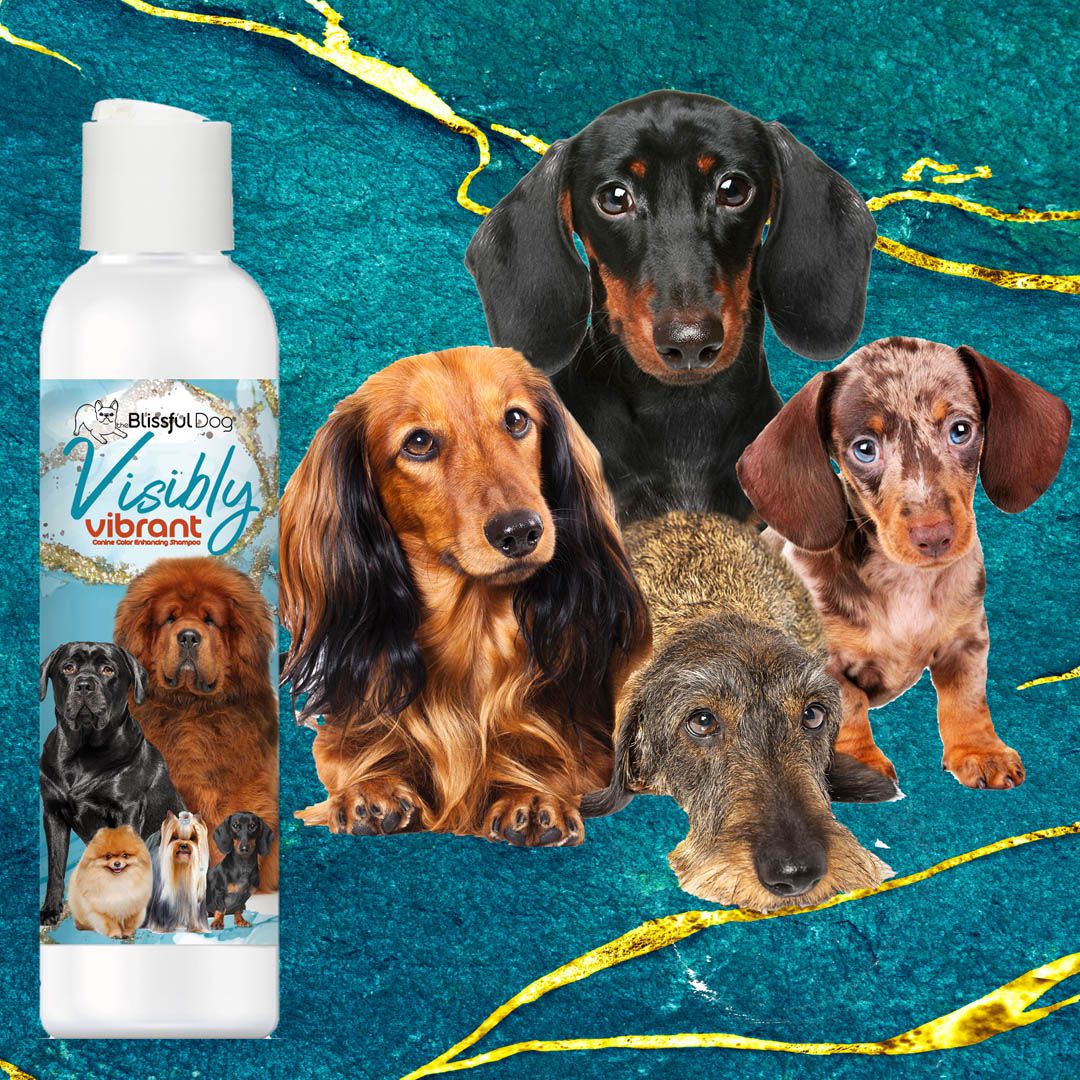 Visibly Vibrant Pet Shampoo SHAMPOO The Blissful Dog