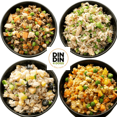 Small Breed - Variety Pack, case includes 30, 4oz meals Dog Food Din Din 4 Dogs