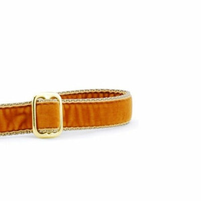 Antique Gold Velvet Dog Leash 2 Hounds Design