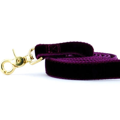 Burgundy Velvet Dog Leash 2 Hounds Design