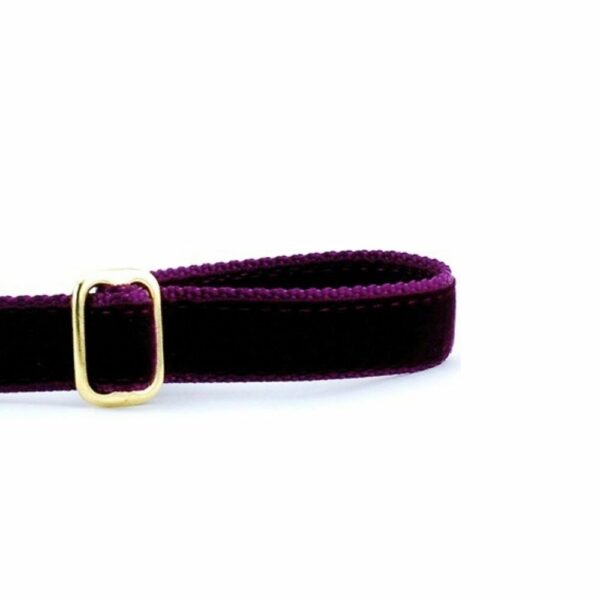 Burgundy Velvet Dog Leash 2 Hounds Design