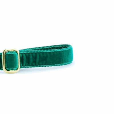 Emerald (Kelly) Velvet Dog Leash 2 Hounds Design