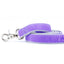 Lavender Velvet Dog Leash 2 Hounds Design