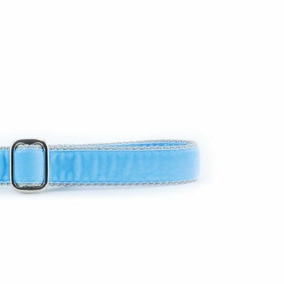 Light Blue Velvet Dog Leash 2 Hounds Design