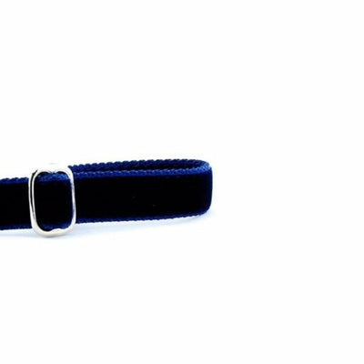 Navy Velvet Dog Leash 2 Hounds Design