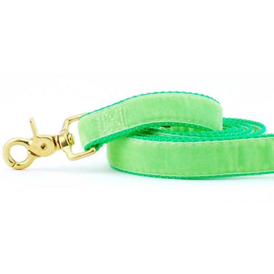 Lime Green Velvet Dog Leash 2 Hounds Design