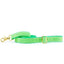 Lime Green Velvet Dog Leash 2 Hounds Design