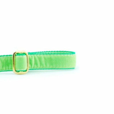 Lime Green Velvet Dog Leash 2 Hounds Design