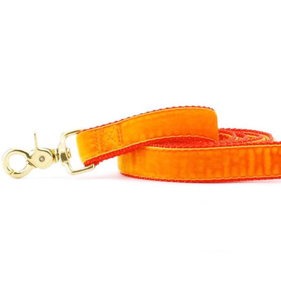 Orange Velvet Dog Leash (1″ Only) 2 Hounds Design