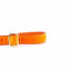 Orange Velvet Dog Leash (1″ Only) 2 Hounds Design