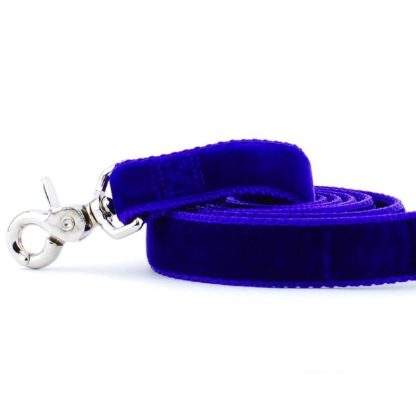 Purple Velvet Dog Leash 2 Hounds Design