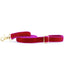 Raspberry Velvet Dog Leash 2 Hounds Design
