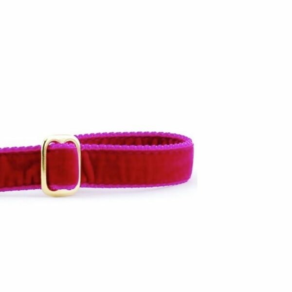 Raspberry Velvet Dog Leash 2 Hounds Design