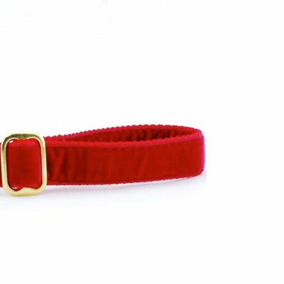 Red Velvet Dog Leash 2 Hounds Design