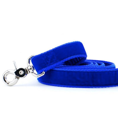 Royal Blue Velvet Dog Leash 2 Hounds Design