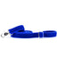 Royal Blue Velvet Dog Leash 2 Hounds Design