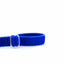 Royal Blue Velvet Dog Leash 2 Hounds Design