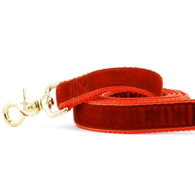 Rust Velvet Dog Leash (1″ Only) 2 Hounds Design